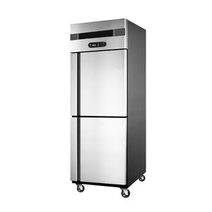 Congelador vertical de doble puerta, combo de refrigerador comercial para cocina, 500L