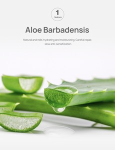 Nueva llegada Extractos de plantas de alta calidad Reducción de poros Eliminación de espinillas Aloe Vera Tiras de poros de la nariz - Product Image 2