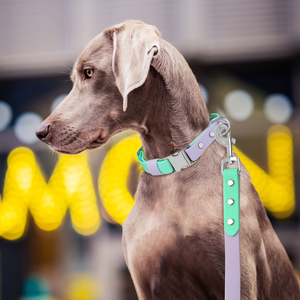 工場直販 カスタム モダン 防水 ストライプ リボン 犬用首輪とリードセット 調整可能 <span class=keywords><strong>PVC</strong></span> ペット用首輪とリード - Product Image 5