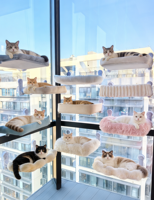 YOMOBA Lit pour chat pliable toutes saisons en tissu lin synthétique, hamac pour chat, perchoir de fenêtre à ventouse, cadre durable, lavable, ODM