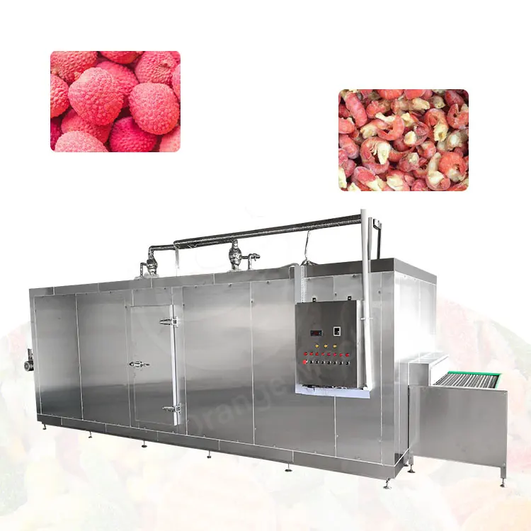 ORME Tunel De Congelación Fast Commercial Flash Quick Freeze Iqf Tunnel Blast Freezer Machine Precio