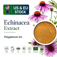 Poudre d'extrait d'échinacée, polyphénol 4%, approvisionnement direct usine, poudre végétale standardisée végétalienne pour matière première de complément alimentaire