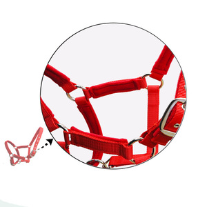 Licou réglables en polypropylène tissé Durable licou de cheval de bétail plusieurs couleurs - Product Image 6
