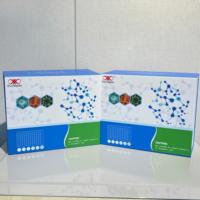 Kit de recherche ELISA pour la protéine humaine régulée par la cocaïne et l'amphétamine (Cartpt)