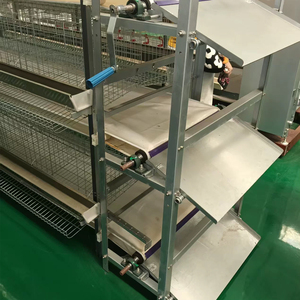 Système de nettoyage de fumier à manivelle pour cages à poulets multi-niveaux, avec courroie en PP pour tous les niveaux, pour élevages avicoles - Product Image 3
