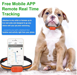 Hệ thống định vị <span class=keywords><strong>GPS</strong></span> thông minh cho chó, thiết bị theo dõ<span class=keywords><strong>i</strong></span> thú cưng, mạng 4G, <span class=keywords><strong>Bluetooth</strong></span>, IP67, chất liệu nhựa, silicon, nylon, kim loạ<span class=keywords><strong>i</strong></span>, bộ thu <span class=keywords><strong>GPS</strong></span> - Product Image 2