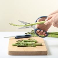 Ciseaux de cuisine multifonctionnels 2 en 1 en acier inoxydable avec couteau à éplucher pliable, lames détachables, ciseaux de cuisine pour la préparation des aliments