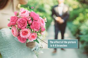 <span class=keywords><strong>Bouquet</strong></span> <span class=keywords><strong>de</strong></span> fleurs <span class=keywords><strong>de</strong></span> pivoine en soie artificielle, fausses <span class=keywords><strong>pivoines</strong></span>, arrangement floral, décoration <span class=keywords><strong>de</strong></span> centre <span class=keywords><strong>de</strong></span> table pour mariage ou fête - Product Image 4