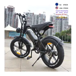 V20 elektrikli kargo bisikleti elettrica mtb ebike elektrikli fatbike yağ lastik elektrikli bisiklet