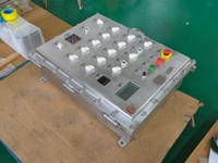 Boîtier de commande d'éclairage antidéflagrant LD-BXD(M)99L Ex Db IIB T6 Gb IP66 en acier inoxydable SS304 80A AC220V avec finition brossée