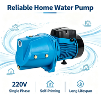 Pompe à jet auto-amorçante électrique 220V AC pour l'approvisionnement en eau des puits peu profonds et l'irrigation des petites surfaces