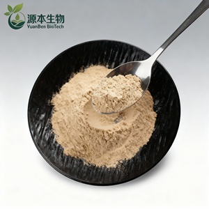 Meest verkochte fabriekslevering voedingsmiddelkwaliteit hoogwaardig Astragaluswortel kruidenextract poeder 99% Astragalus polysacchariden - Product Image 4