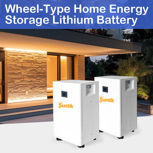 Suntik LiFePO4 BMS Intelligente con Garanzia Decennale, 8000 Cicli, Sicuro ed Ecologico, Split IP65 CAN per Elettrodomestici e <span class=keywords><strong>Energia</strong></span> - Product Image 6