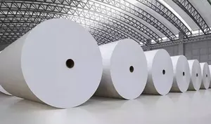 Enzima de conversão de amido de papel e celulose 300000 U/g