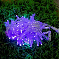 Guirlandes lumineuses LED décoratives de Noël pour l'extérieur, IP65, blanc chaud, vente en gros, pour jardin, paysage, décorations de fête