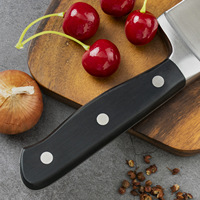 Échantillon gratuit Couteau de cuisine en acier inoxydable de haute qualité Couteau à désosser avec manche en plastique pour la cuisine JYTD69