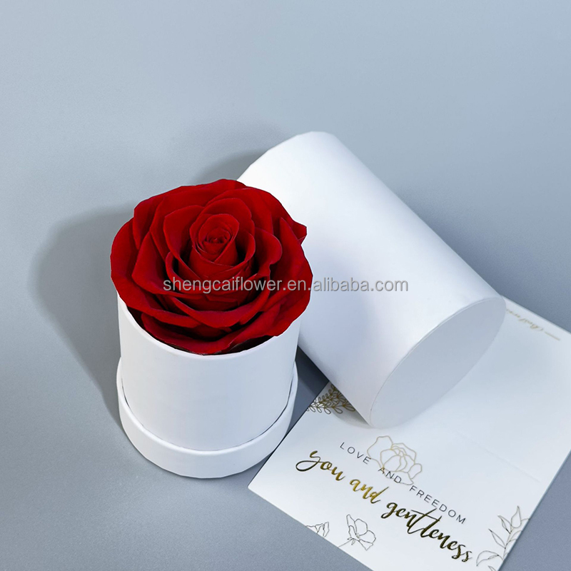 red round 1 roses