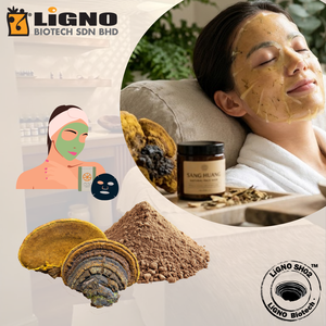Extracto de Hongo en Polvo de Grado Cosmético Sang Huang LiGNO SH02, Calmante para el Cuidado de la Piel, Activo, OEM, ODM, Certificado Halal y Kosher - Product Image 1