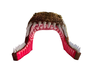 Arco Inflable Gigante de Cabeza de Dinosaurio Realista de <span class=keywords><strong>Cocodrilo</strong></span> para Publicidad en Parques de Atracciones y Zoológicos - Estilo Jurassic World - Product Image 4