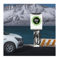 Estación de Carga de Pared para Vehículos Eléctricos de Nuevo Diseño, 30kw 40kw, Pistola Única, OCPP1.6J, IP54, Impermeable, Comercial/Doméstico, Cargador de Vehículos Eléctricos de Pistola Única