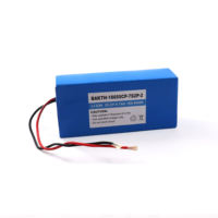 Baterai Li-ion BAKTH-18650CP-7S2P-2 25.2V 6.7AH 168.84WH