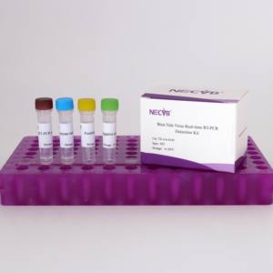 Độ nhạy cao huỳnh quang RT-PCR Kit cho Tây Nile sốt virus phát hiện - Product Image 1