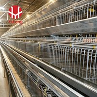 Cage à poulets automatique de type A à 3 niveaux avec alimentation, abreuvement, collecte des œufs, courroie à fumier, abreuvoir à tétine, galvanisée à chaud
