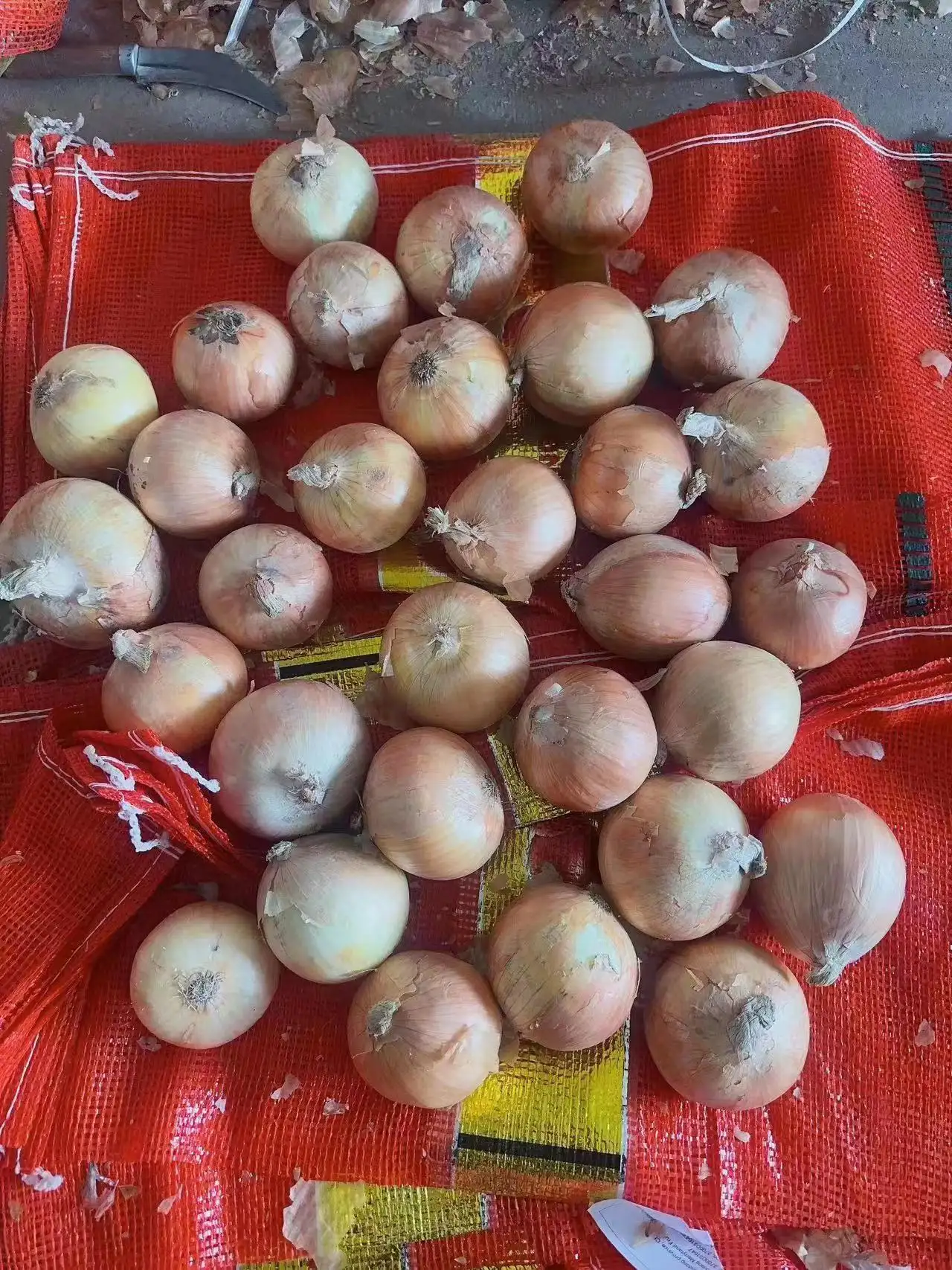 2023 new season fresh Chinese vegetables red yellow white peeled onion price per ton from China fresh India onions bulk buyers