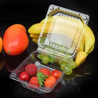 Groothandel PLA Transparante Fruit- en Groentepunnet Embossing Voedselveilige Milieuvriendelijke Verpakking Blauwe Bes Clamshell Verpakking