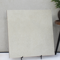Carreaux de porcelaine d'extérieur Etherite G6620Y15 - Rock Ash R12, brique réfractaire isolante thermiquement 20mm, antidérapante pour terrasse de piscine et villa