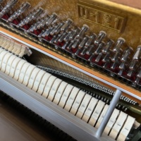 Young Chang U121NCO Classic Matte Wooden Upright Piano With 3 Pedals