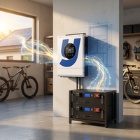 Solution solaire déployée sur balcon, onduleur 3,6 kW et batterie LiFePO4 100 Ah pour l'économie d'énergie des foyers urbains