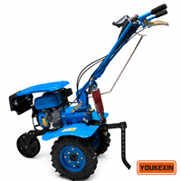 Nuevo Modelo 2026: Cultivador a Gasolina de Accionamiento Directo con Velocidad Variable, Ruedas de Hierro y Goma, Motor de 4 Tiempos para Zonas Montañosas - Proveedor