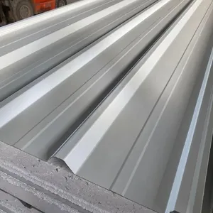 Sandwich Interior Wall Panel Made in China Used for Cold Room Insulated Roof Panel