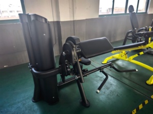 Appareil de musculation professionnel à charges guidées pour la musculation des bras : Machine combinée pour curls biceps et extensions triceps - Product Image 6