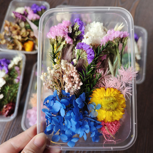 N-082 <span class=keywords><strong>Fleurs</strong></span> <span class=keywords><strong>séchées</strong></span> naturelles, mini <span class=keywords><strong>bouquet</strong></span> de <span class=keywords><strong>fleurs</strong></span> <span class=keywords><strong>séchées</strong></span>, <span class=keywords><strong>fleurs</strong></span> pressées pour la résine, les bougies, les bijoux, l'artisanat - Product Image 4