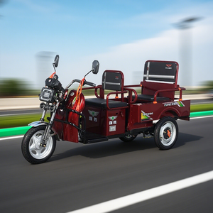 Tricycle Électrique Ouvert pour Adultes, Scooter Électrique à 3 Roues avec Grande Capacité de Bagages, Vélo Électrique avec Remorques - Product Image 4