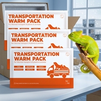 Fournisseurs de patchs chauffants personnalisés pour le transport, 12*18cm, pack chauffant longue durée 24 heures pour le transport de reptiles vivants et de plantes