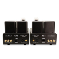 Villa 300B-845 35W Classe a Amplificateur à tubes HIFI fendu haute puissance Qualité sonore Amplificateur à tubes haut de gamme haute fidélité choquant