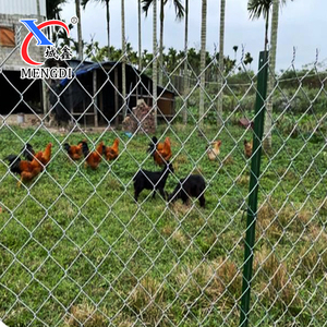 Dễ dàng lắp ráp giá thấp nhúng nóng mạ kẽm kim cương lưới Chuỗi liên kết hàng rào chăn nuôi gia cầm hàng rào - Product Image 5