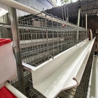 Nouvelle cage à poules pondeuses galvanisée à 3/4 niveaux avec cadre en A, anti-corrosion et collecte automatique des œufs pour l'élevage en ferme