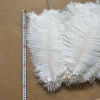 Plumes d'autruche blanches de 40-45 cm (16-18 pouces) parfaites pour l'artisanat, les décorations de carnaval, les centres de table et les garnitures de vases