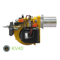 Brûleur à mazout à pyrolyse écologique KV40 Solution d'énergie propre pour restaurant, maison et ferme-état neuf