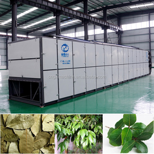 Línea de producción de secado de cinturón de malla profesional directa de fábrica para secar Puntas de espárragos Globe Artichoke y Cardoon - Product Image 4