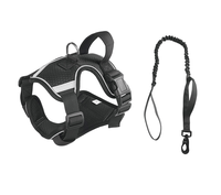 Laisse tactique pour chien avec poignée renforcée, en nylon extensible, avec bande réfléchissante sur la poitrine et le dos pour une meilleure adhérence.