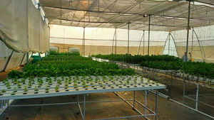 Équipement <span class=keywords><strong>hydroponique</strong></span> de <span class=keywords><strong>culture</strong></span> en lettres en gros, tube de croissance en PVC, tube en plastique 10x5cm, tube en PVC 4x2 pouces, canal NFT <span class=keywords><strong>hydroponique</strong></span> - Product Image 3