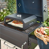 Sxsejr — Mini four Portable d'extérieur pour Pizza, au gaz, au charbon de bois