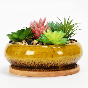 Pot succulent de jardinière de bol <span class=keywords><strong>bas</strong></span> en céramique blanche avec plateau en bambou Pot de <span class=keywords><strong>fleur</strong></span> demi-rond à fond peu profond - Product Image 1