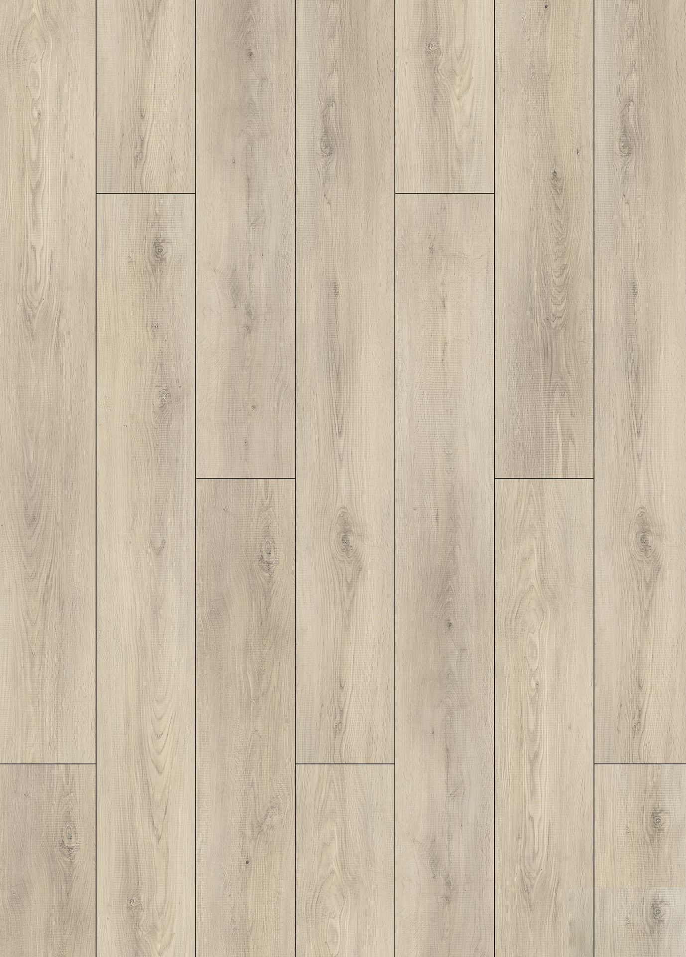 Beige gris clair