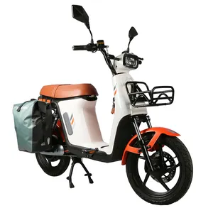 2024 Venda quente CEE/COC Pedal Assistido Vintage Zhejiang Bicicletas de Entrega Elétrica Motocicleta